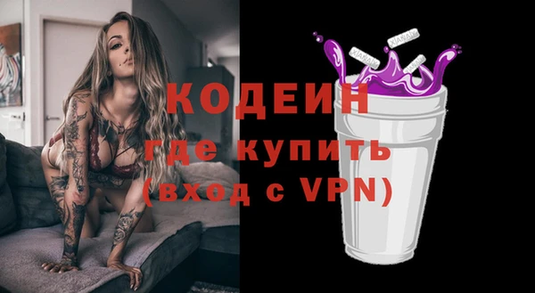хмурый Михайловск