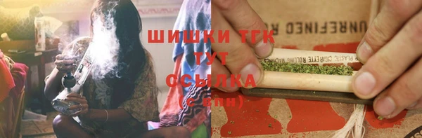 хмурый Михайловск