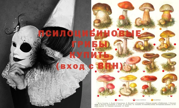 скорость Михайловка