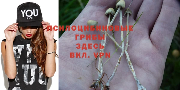 скорость Михайловка