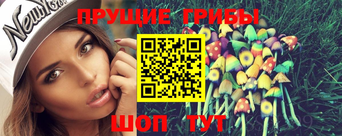 Саратов  Псилоцибиновые грибы MAGIC MUSHROOMS  Вход с VPN 